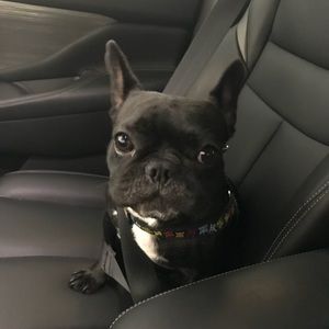 Meet your Posher, Tracy